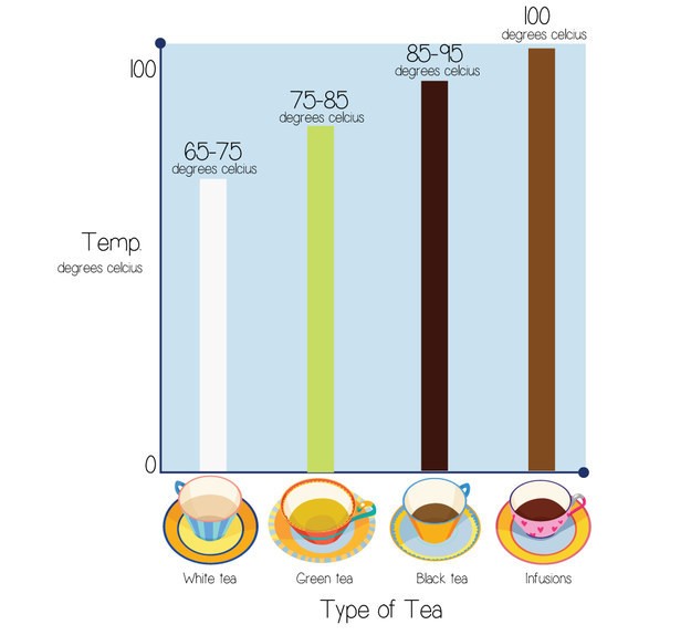 Here are the BEST WAYS to BREW (ICED) TEA and Common Mistakes to Avoid! Top Morning